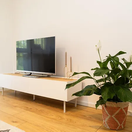 Moderni S Primym Vstupem Do Parku V Centru Ostravy *