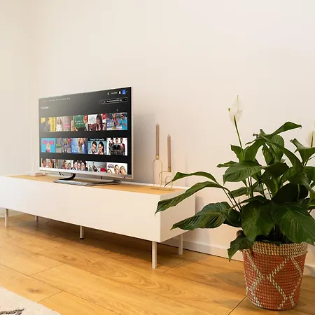 Apartment Moderni S Primym Vstupem Do Parku V Centru Ostravy *