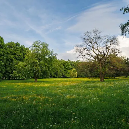 Moderni S Primym Vstupem Do Parku V Centru Ostravy Апартаменти Острава
