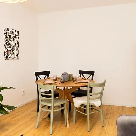 Apartment Moderni S Primym Vstupem Do Parku V Centru Ostravy *