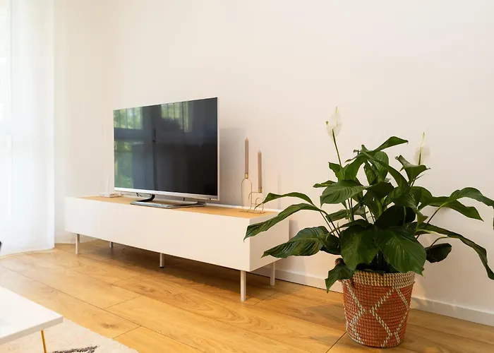 Moderni S Primym Vstupem Do Parku V Centru Ostravy *