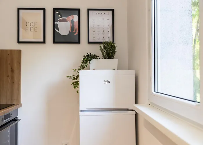 Appartement Moderni S Primym Vstupem Do Parku V Centru Ostravy Ostrava