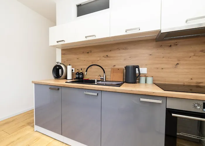 Moderni S Primym Vstupem Do Parku V Centru Ostravy Appartement *