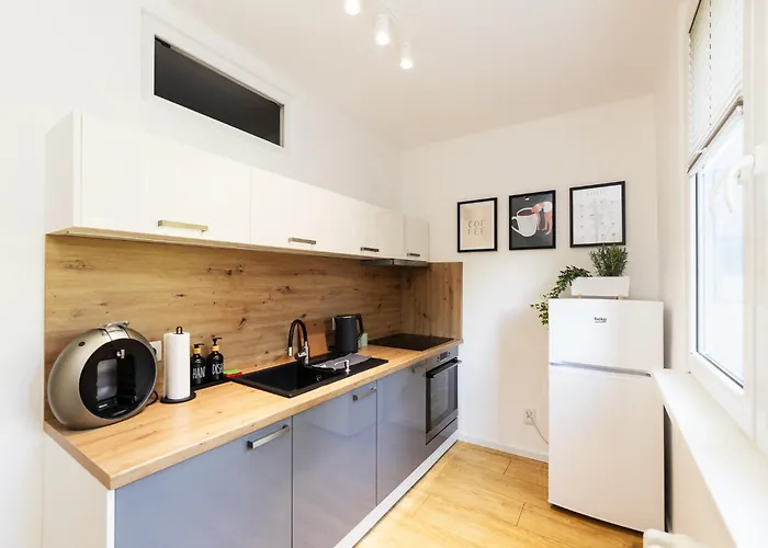 Appartement Moderni S Primym Vstupem Do Parku V Centru Ostravy