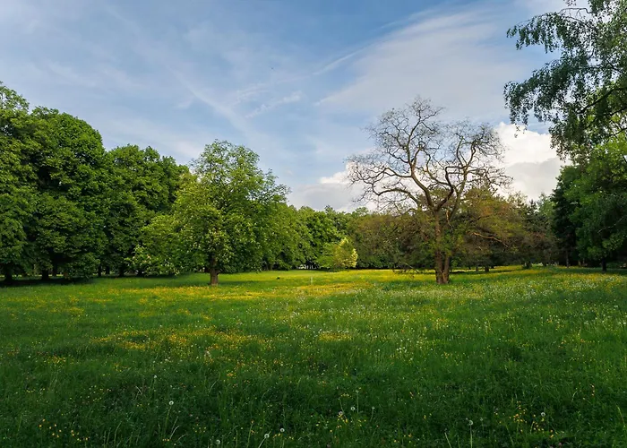 Moderni S Primym Vstupem Do Parku V Centru Ostravy Appartement Ostrava